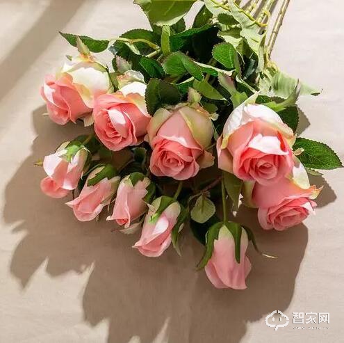 QQ截图20210520141929.jpg